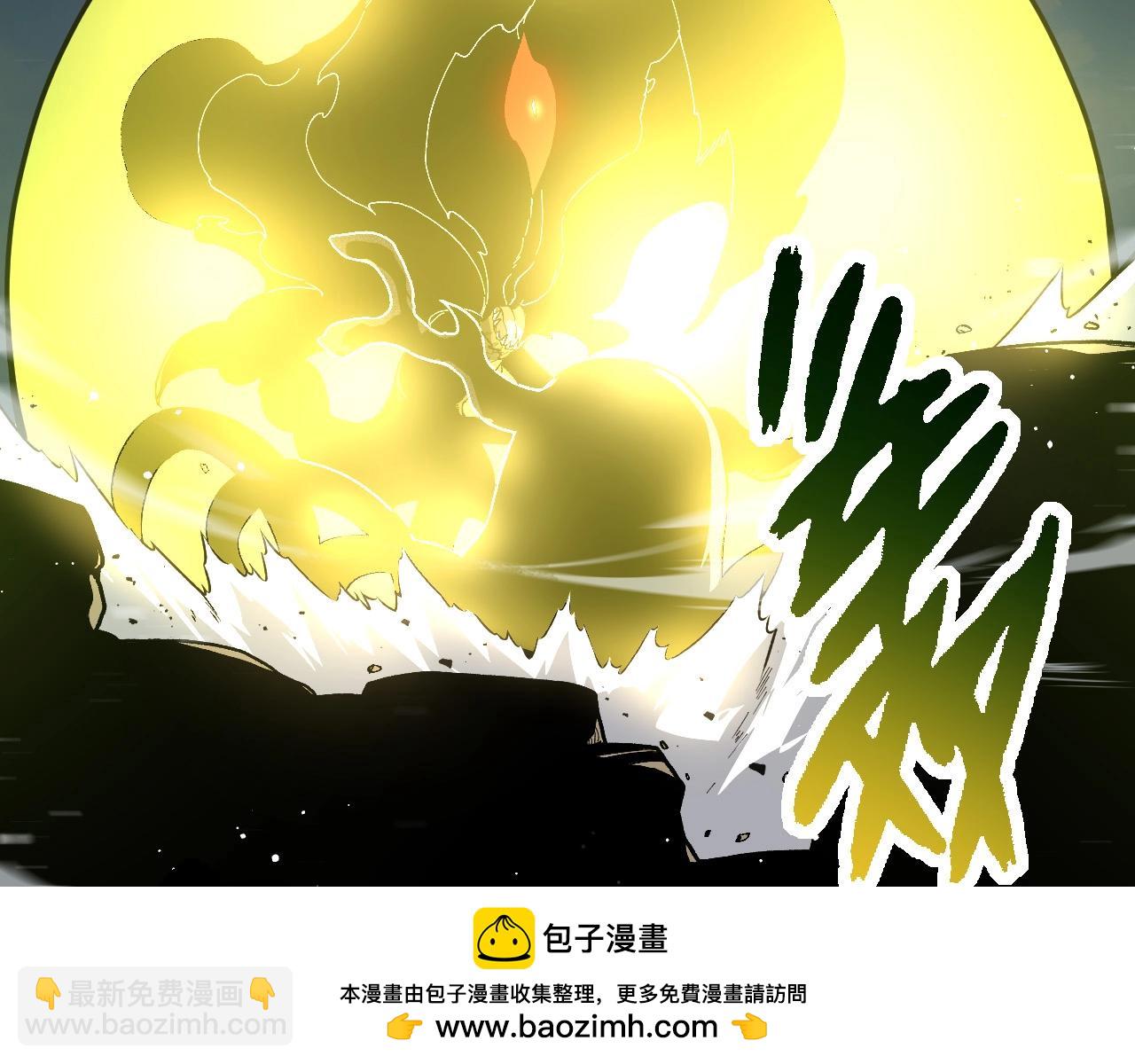 第 100 页