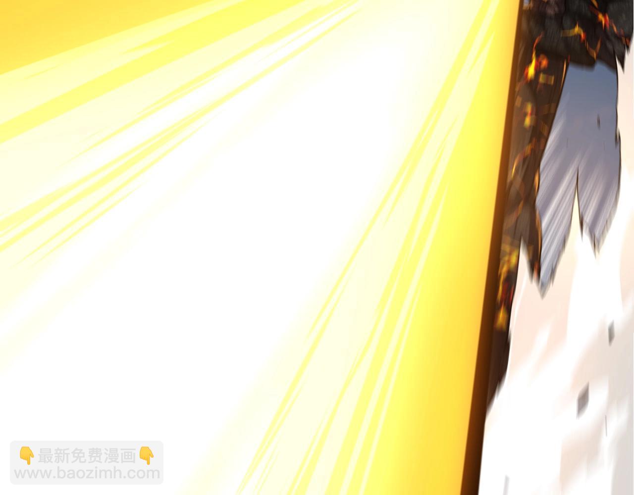 第 111 页