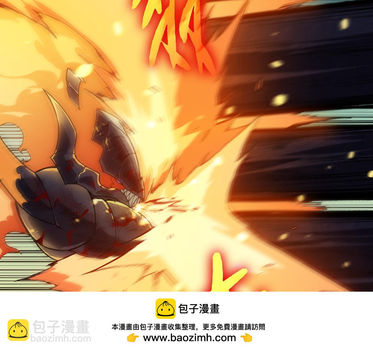 第 81 页