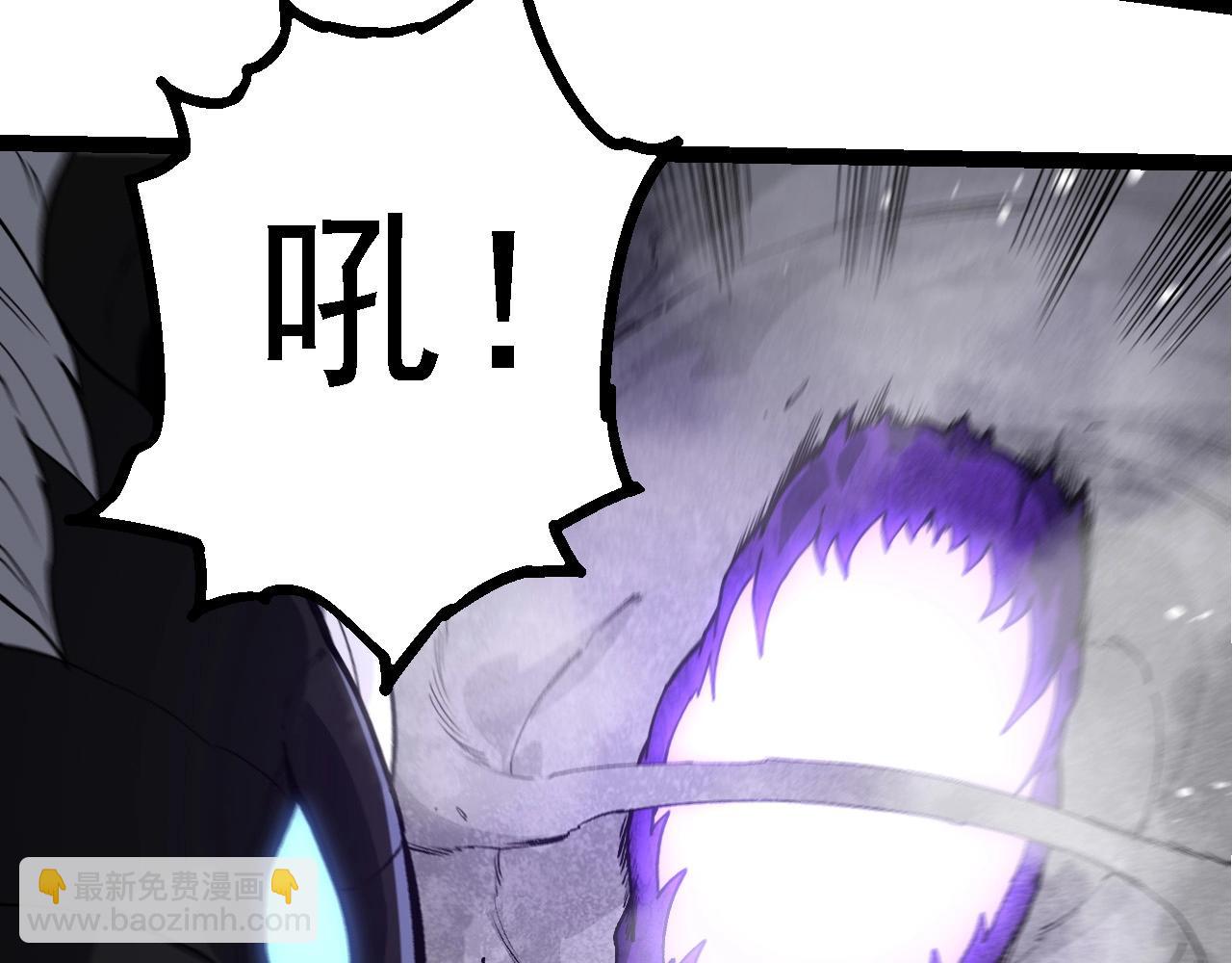 第 111 页