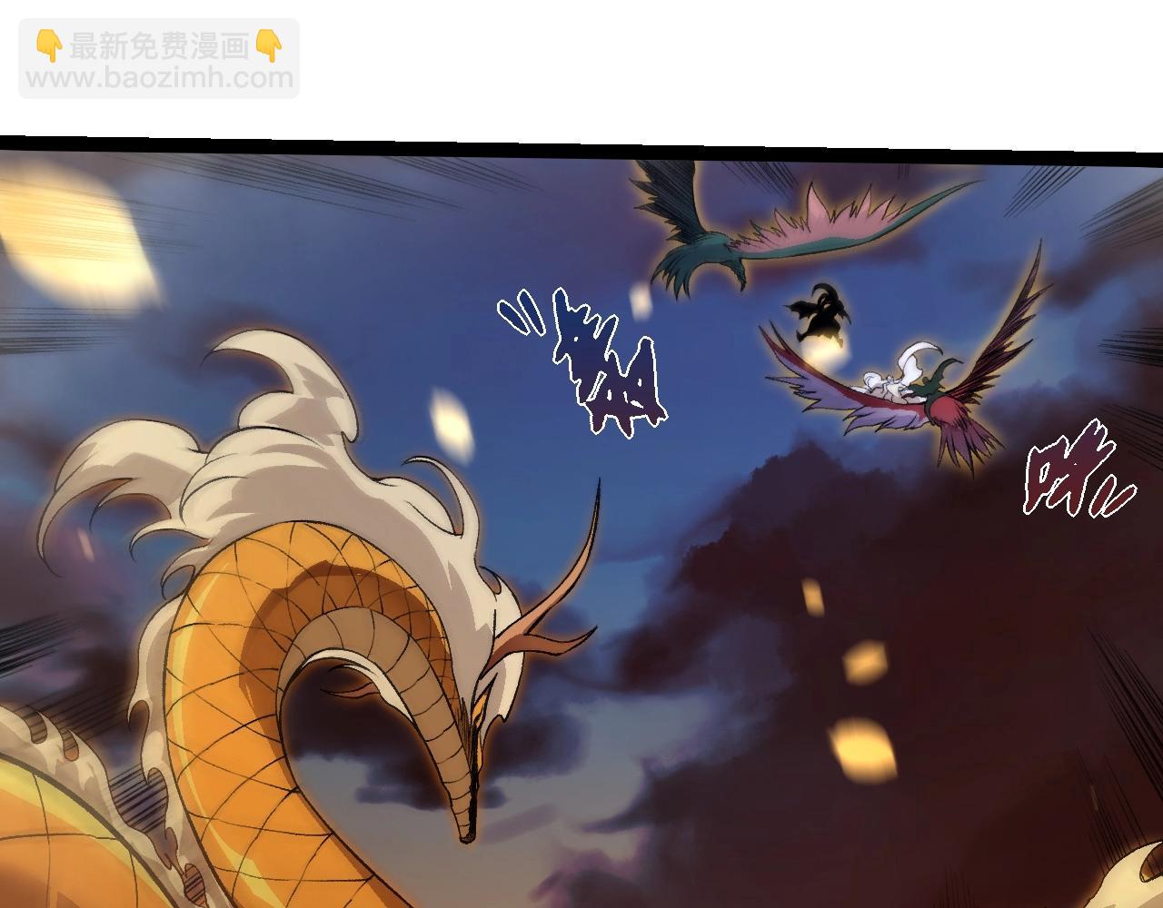 第 65 页