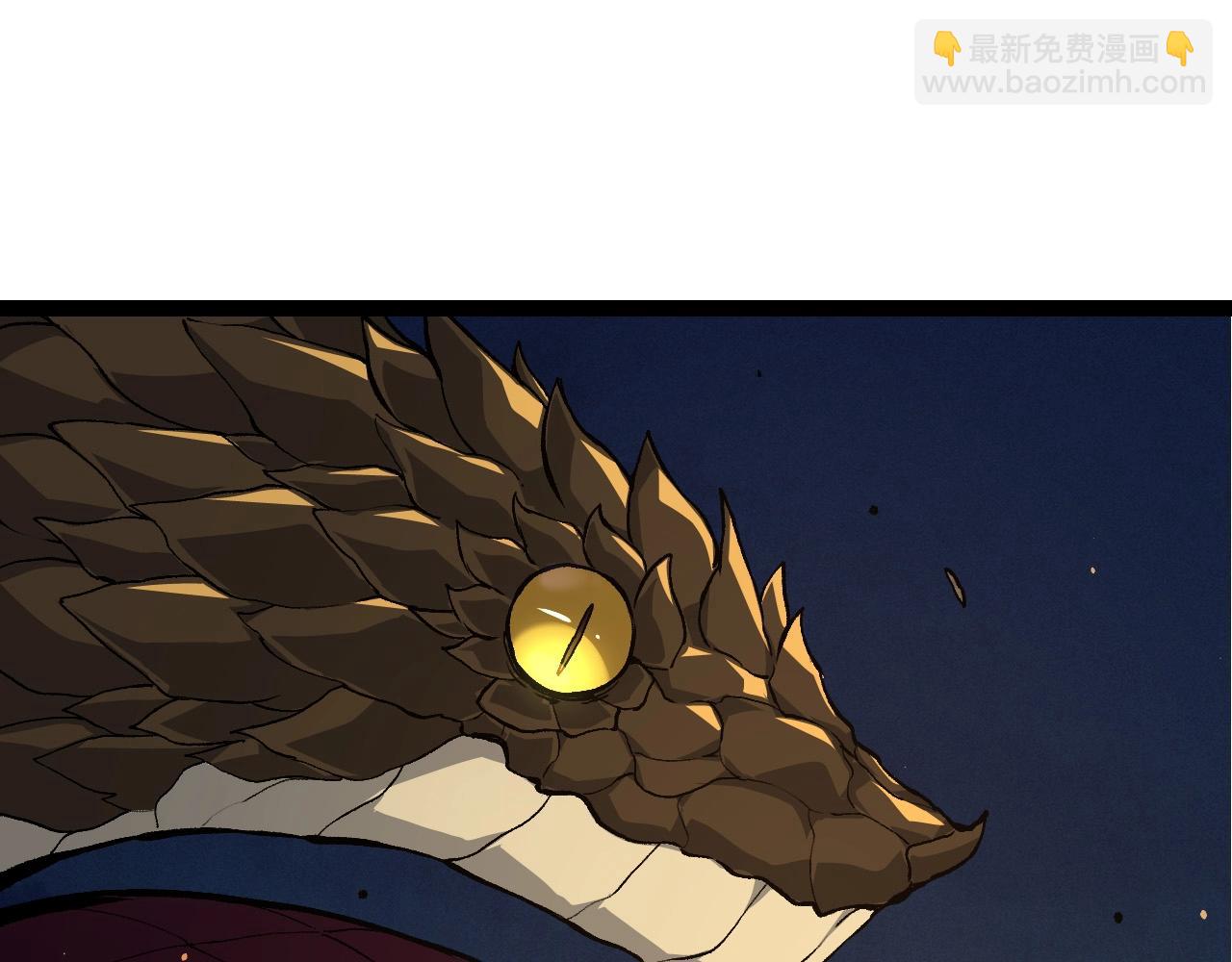 第 155 页