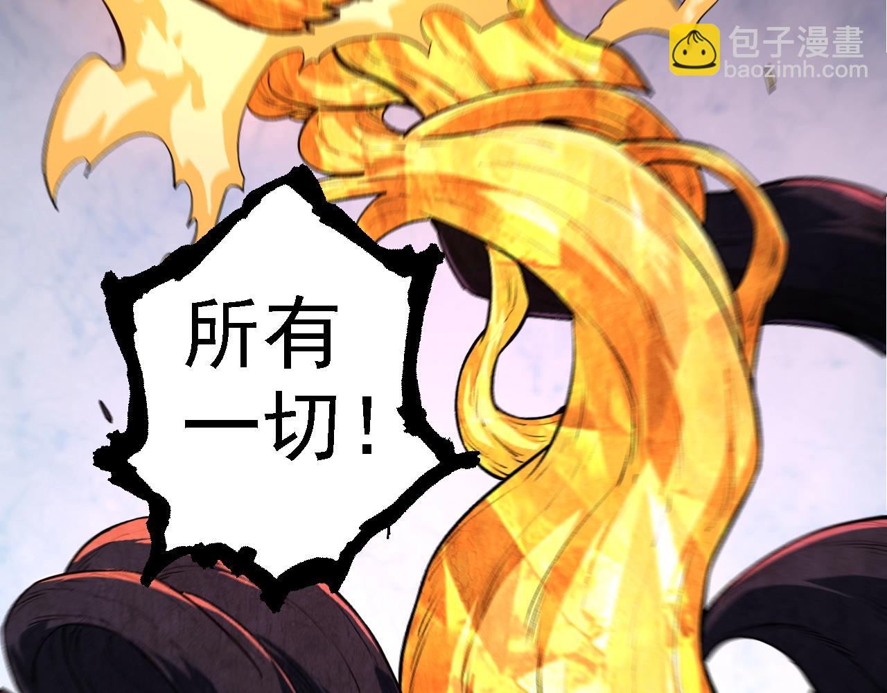 第 118 页