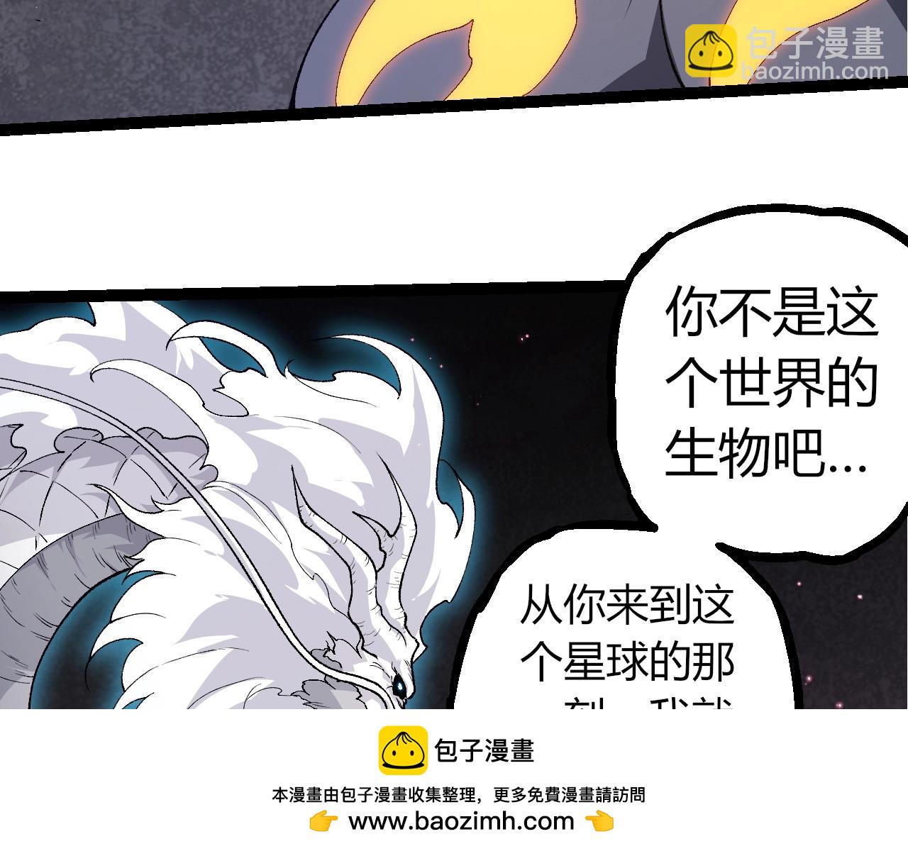 第 100 页