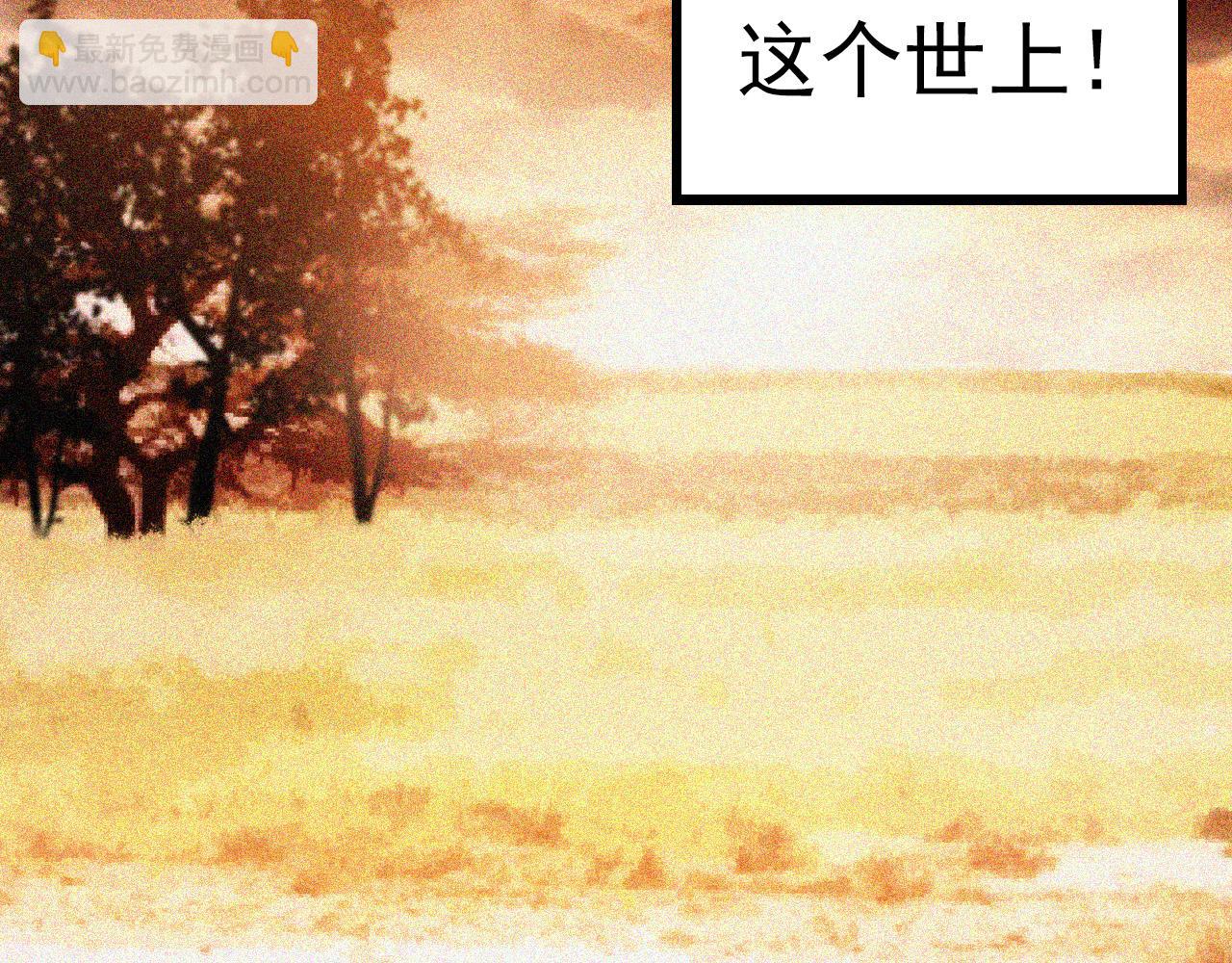 第 244 页