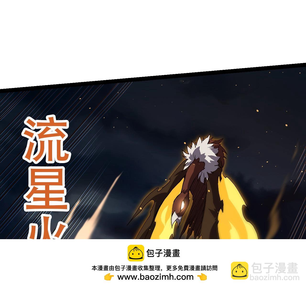 第 100 页