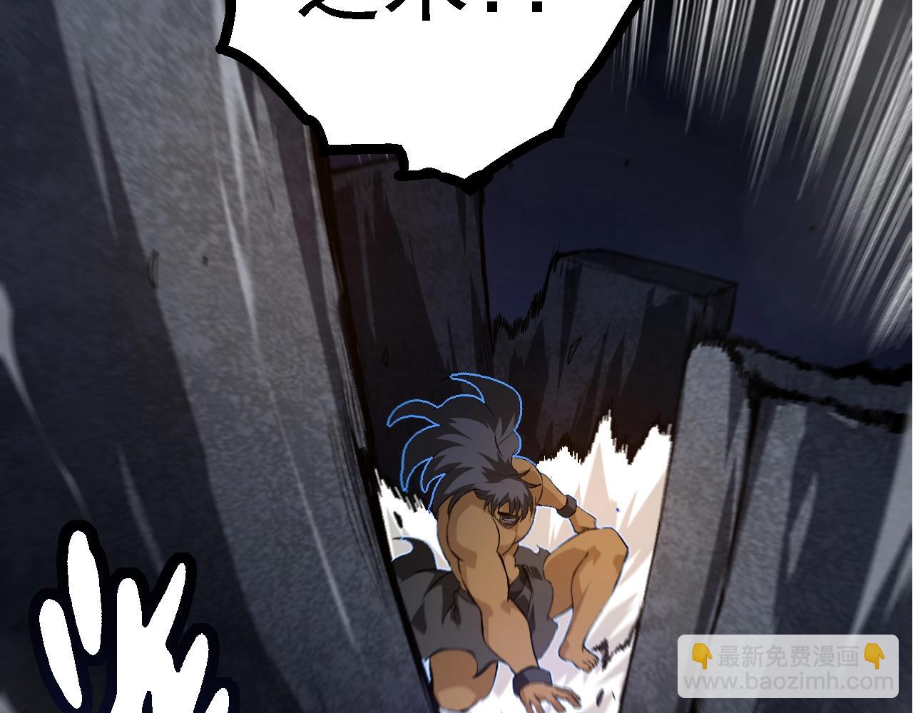 第 110 页