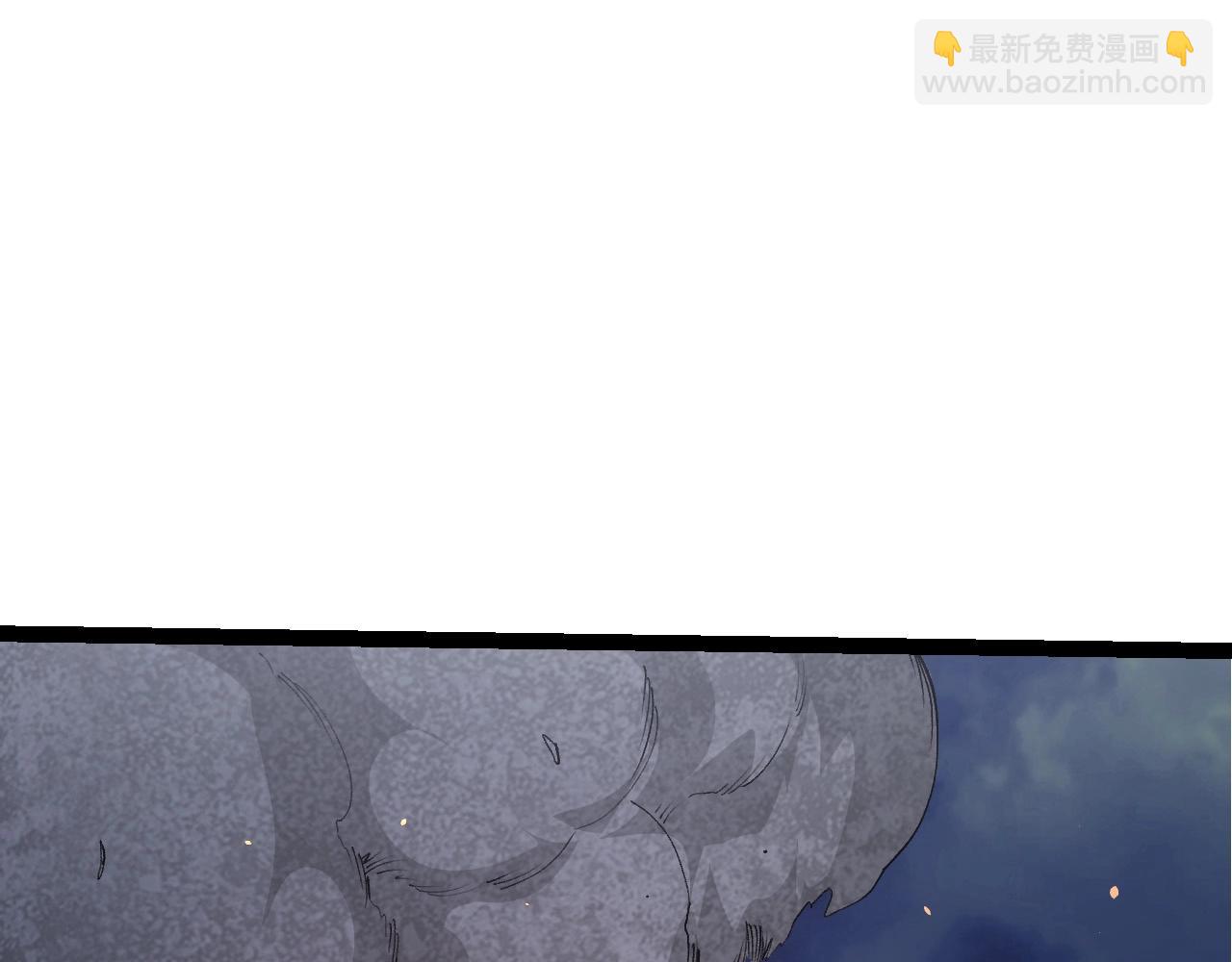 第 110 页