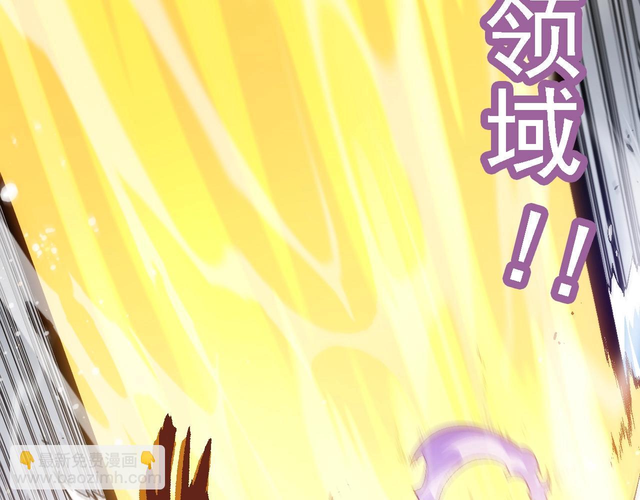第 113 页
