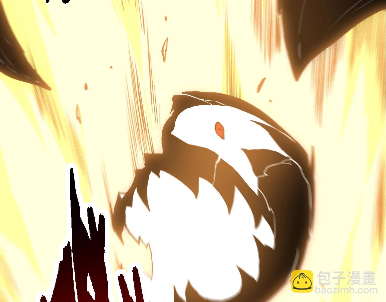 第 146 页