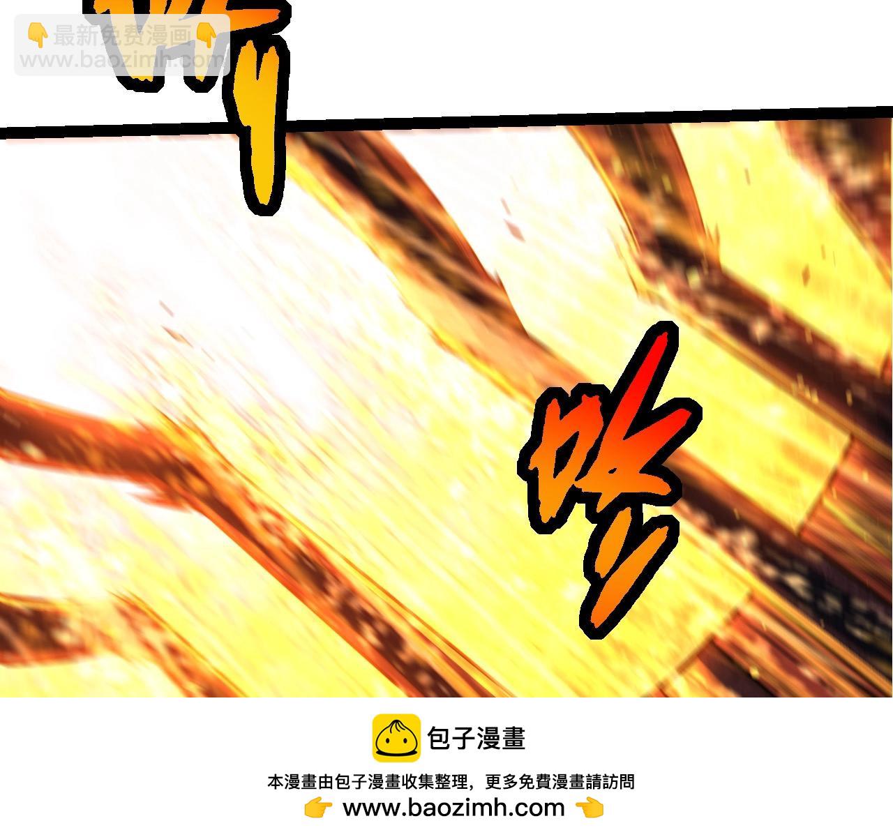 第 97 页