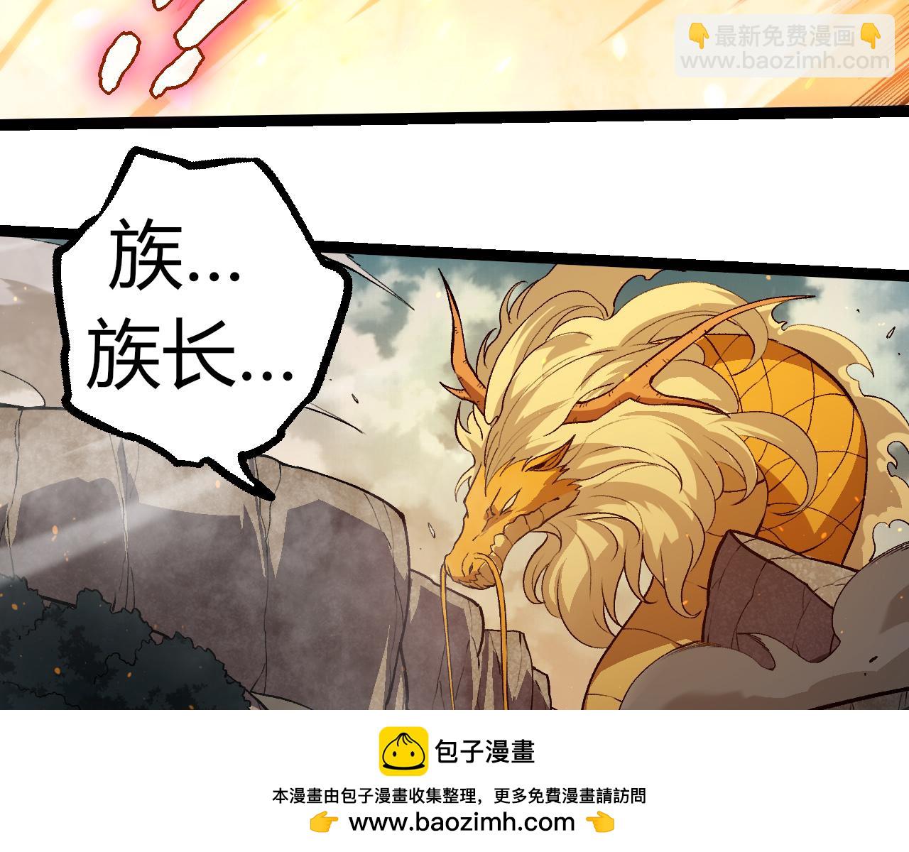 第 100 页