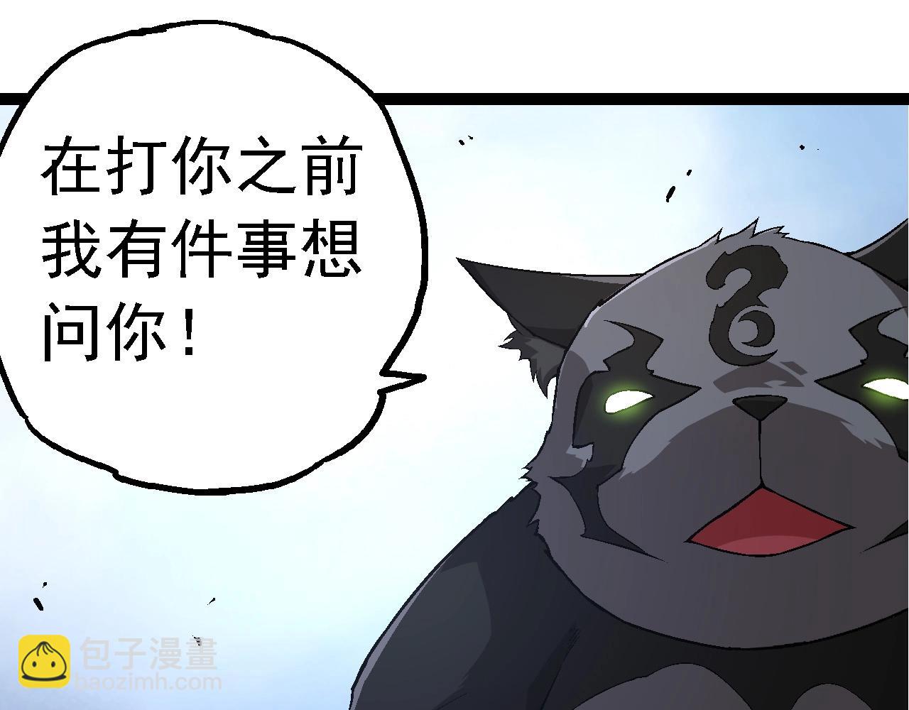 第 111 页