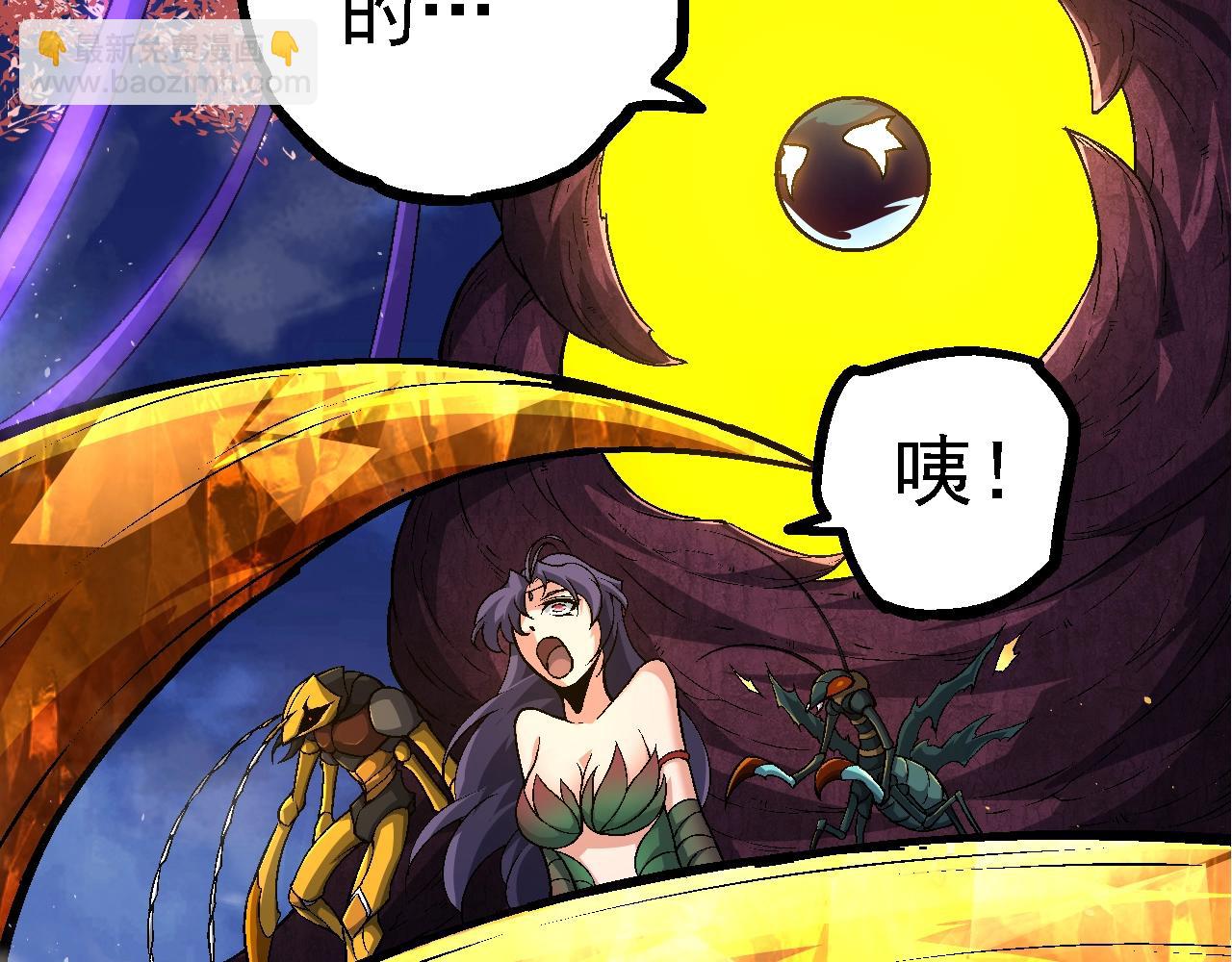 第 146 页