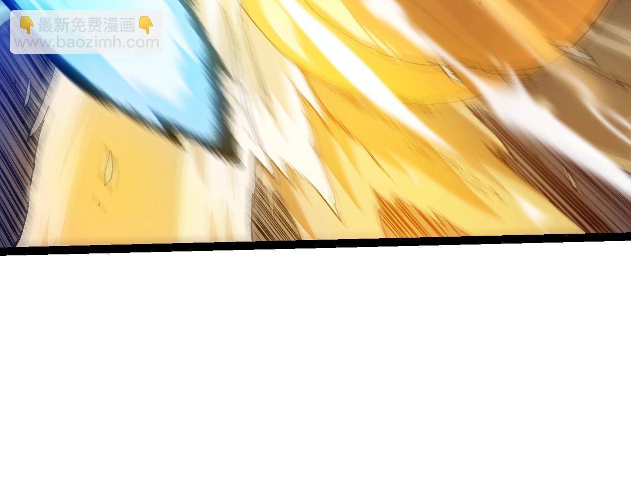 第 111 页