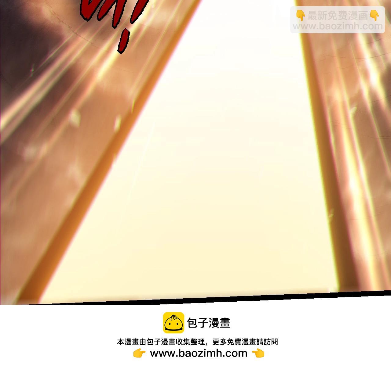 第 100 页