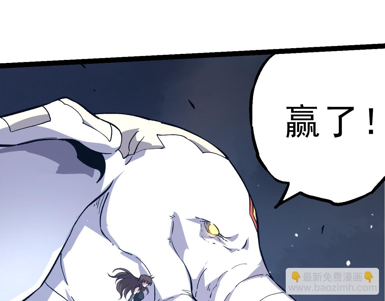第 113 页
