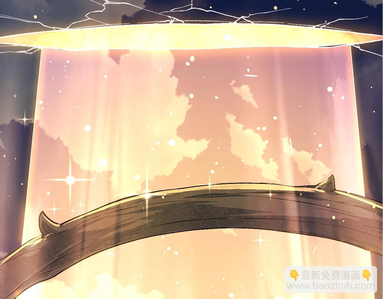 第 113 页