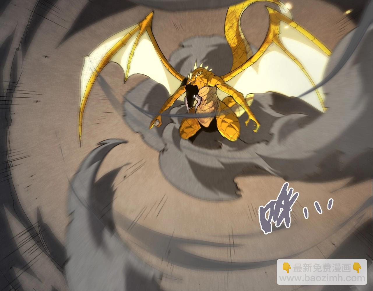 第 79 页