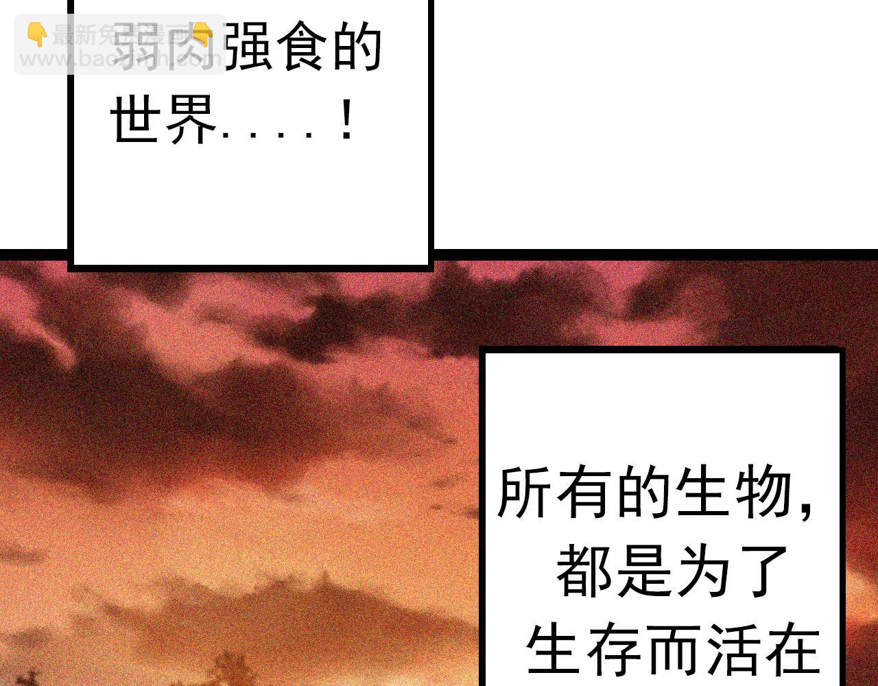 第 243 页