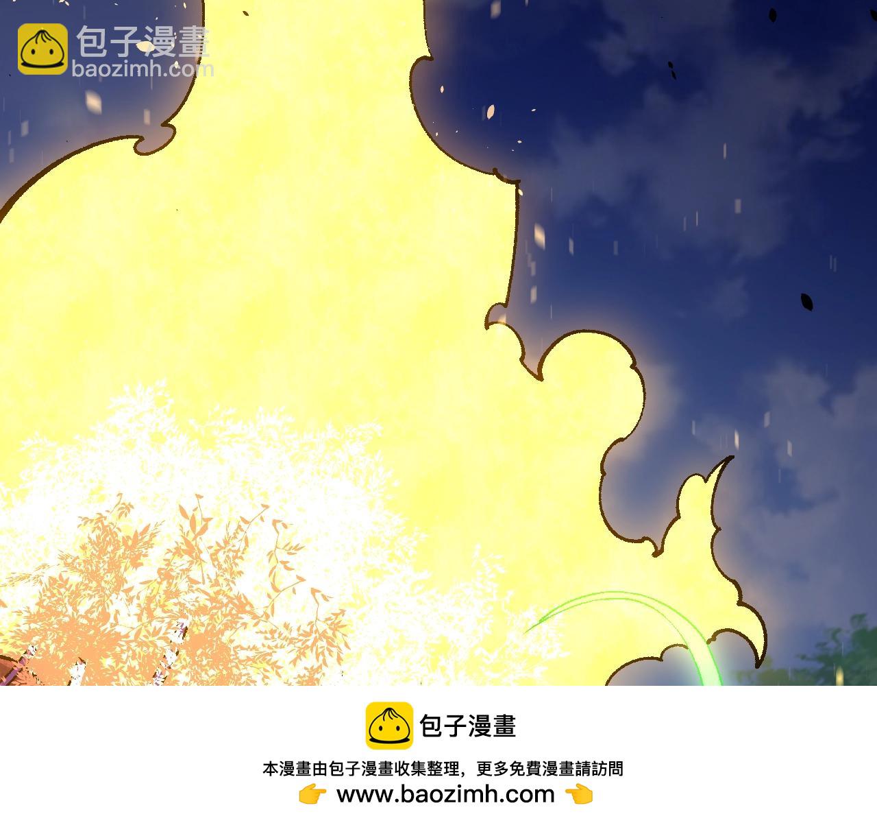 第 100 页
