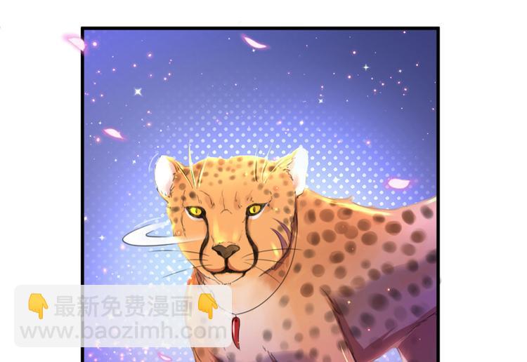 第 64 页