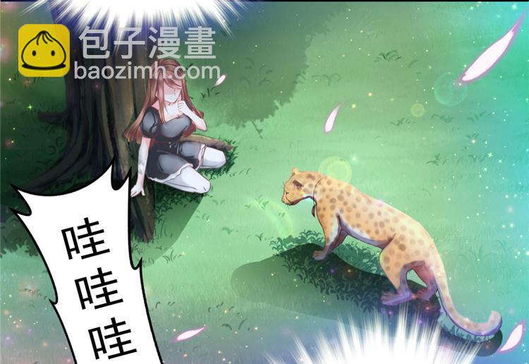 第 66 页
