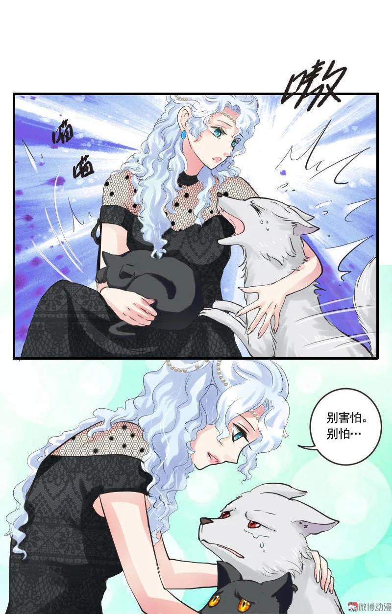 第 20 页