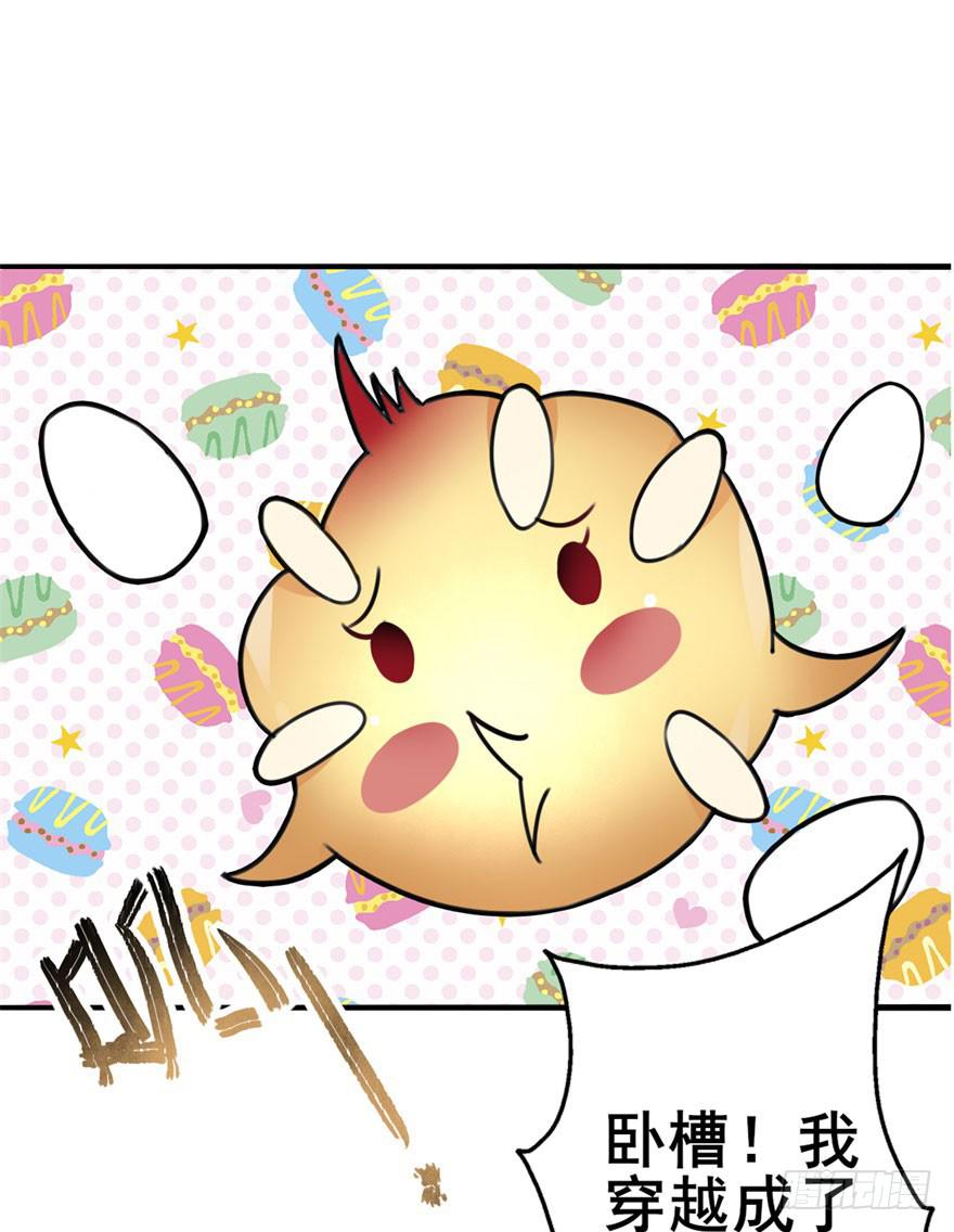 第 61 页