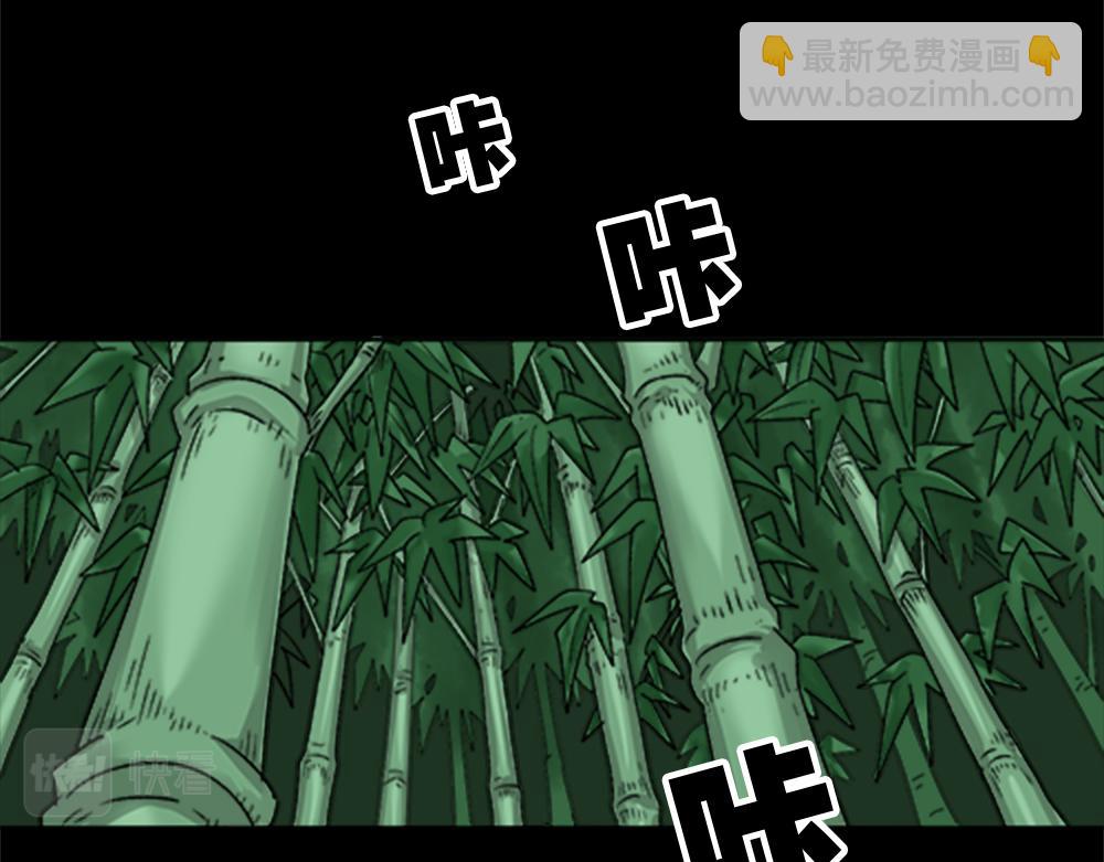 第 56 页