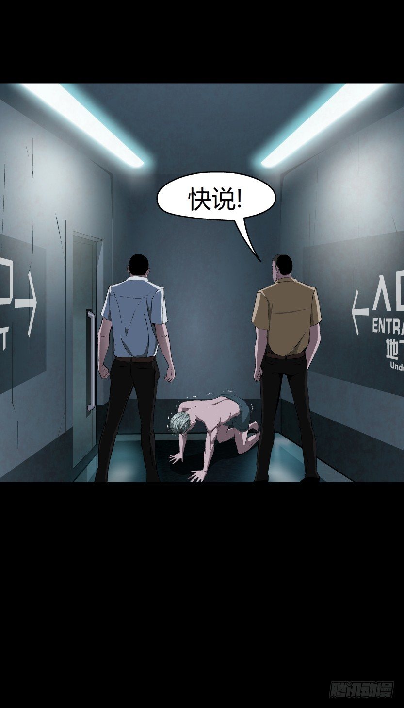 第 41 页