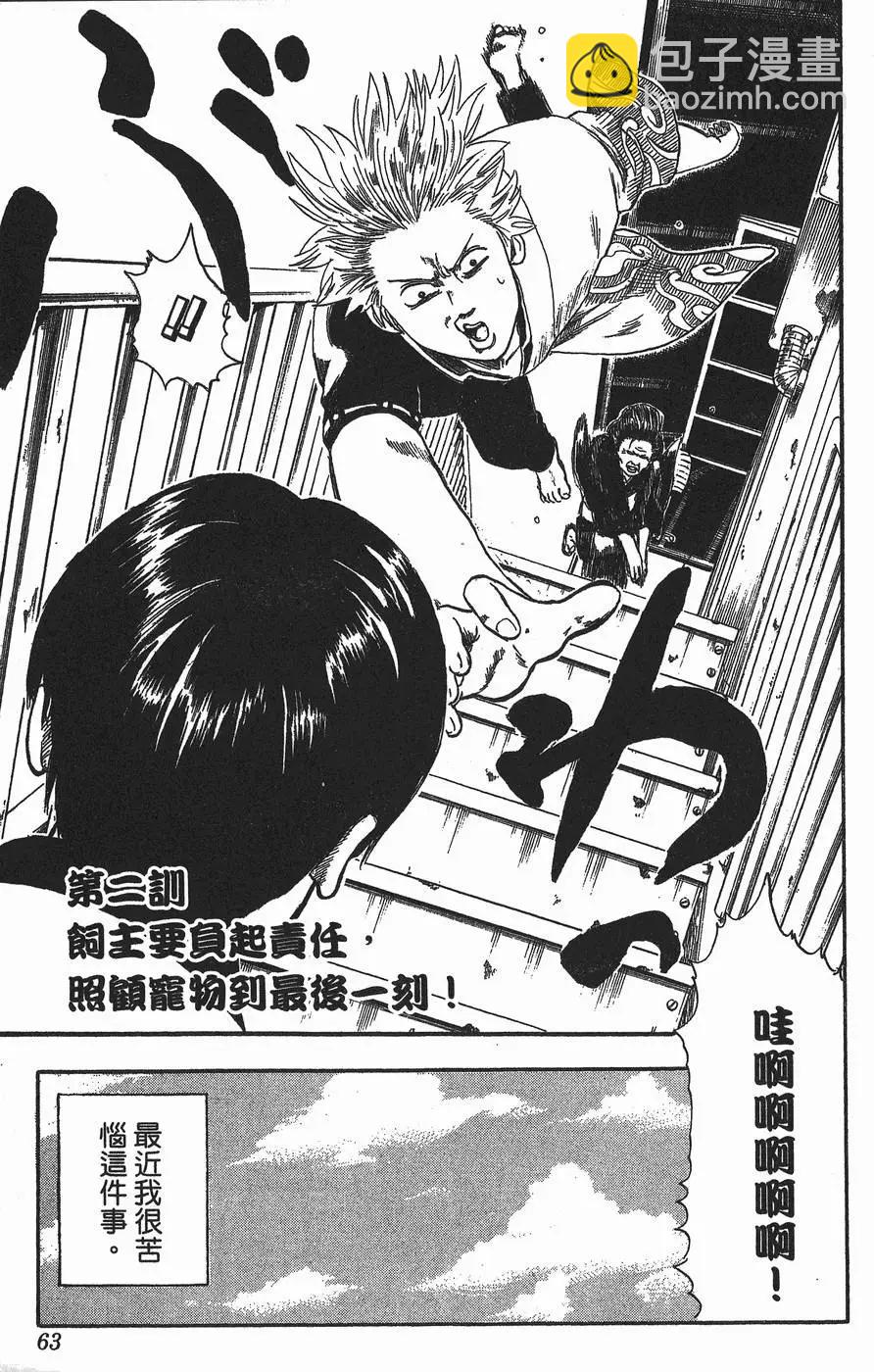 第 63 页