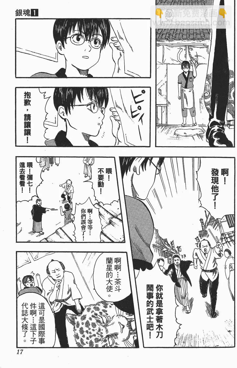 第 17 页
