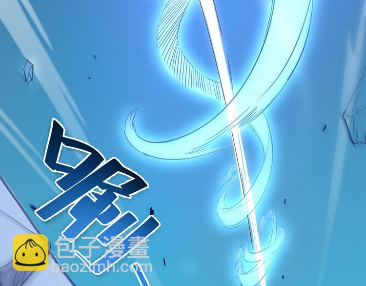 第 113 页