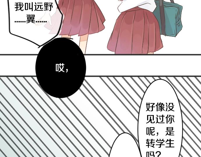 第 81 页