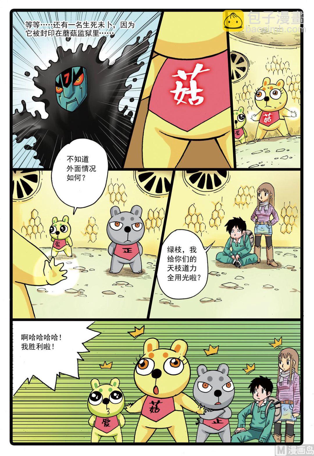 第 4 页