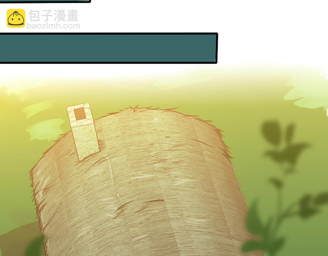 第 81 页