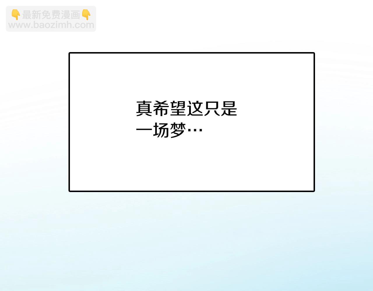 第 100 页