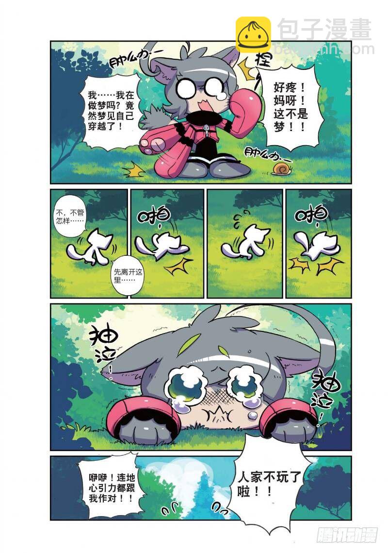 第 6 页