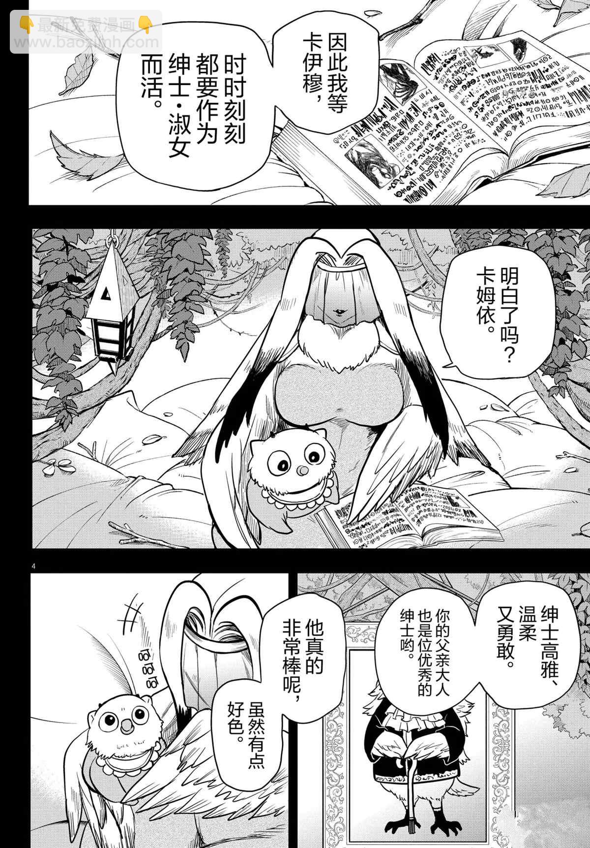 第 4 页