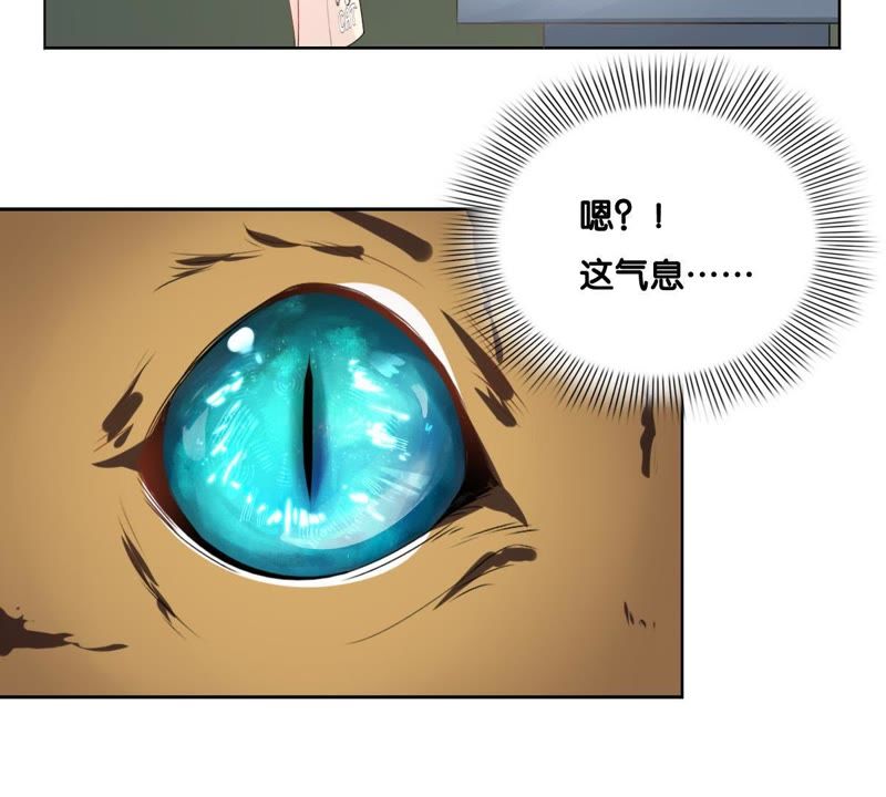 第 95 页
