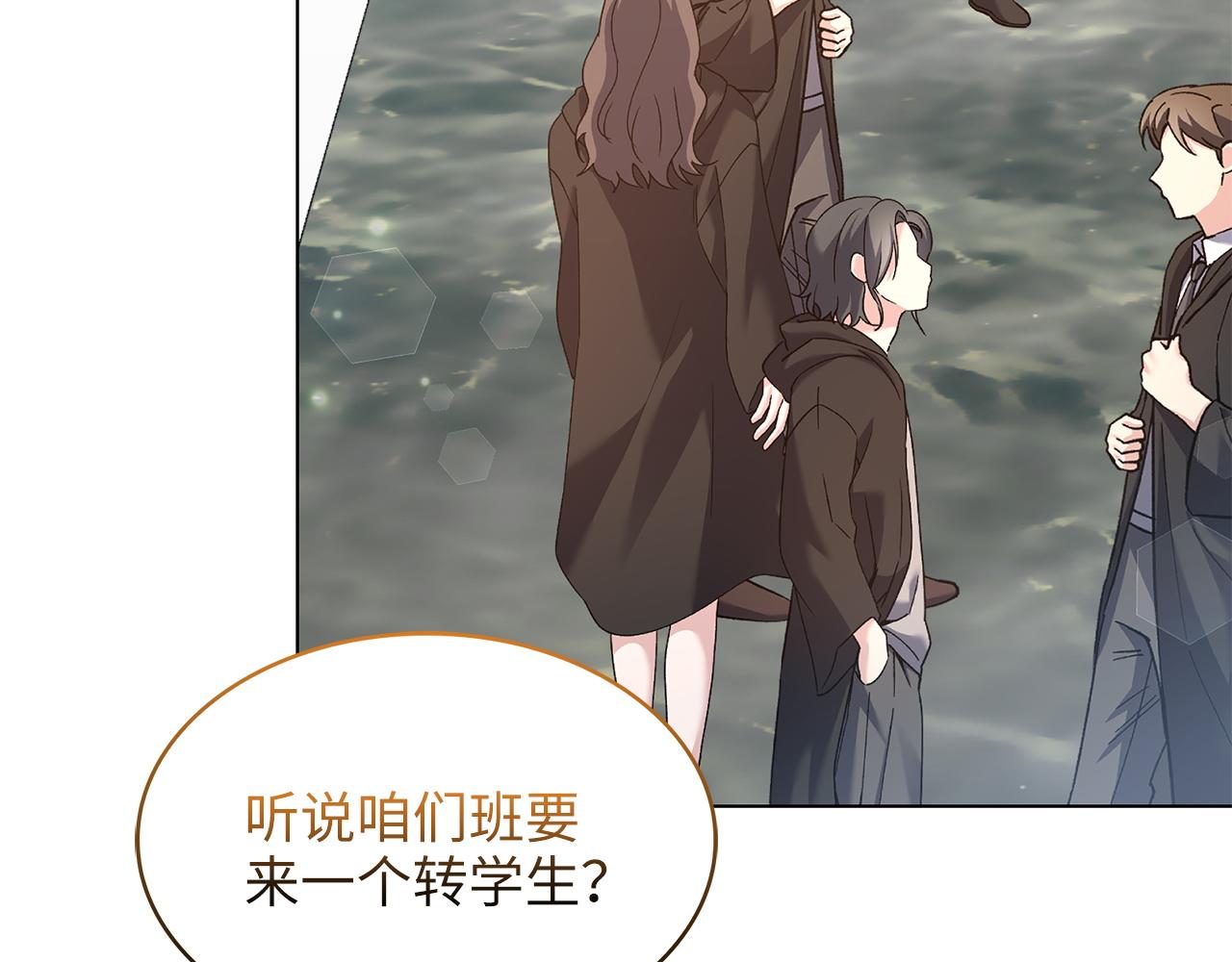 第 113 页
