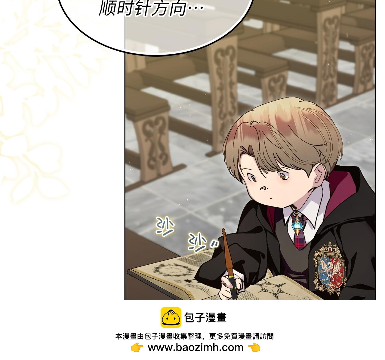 第 100 页