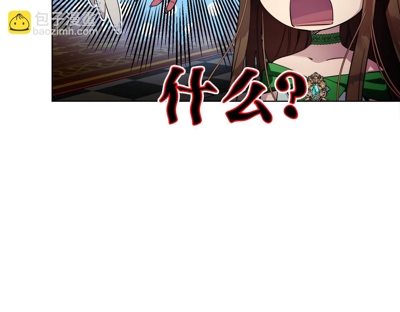 第 113 页