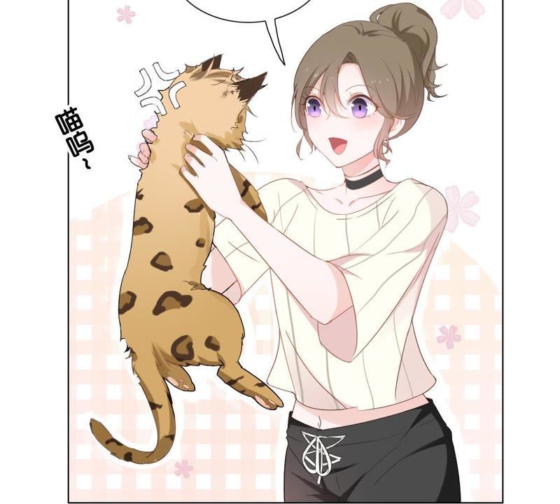 第 72 页