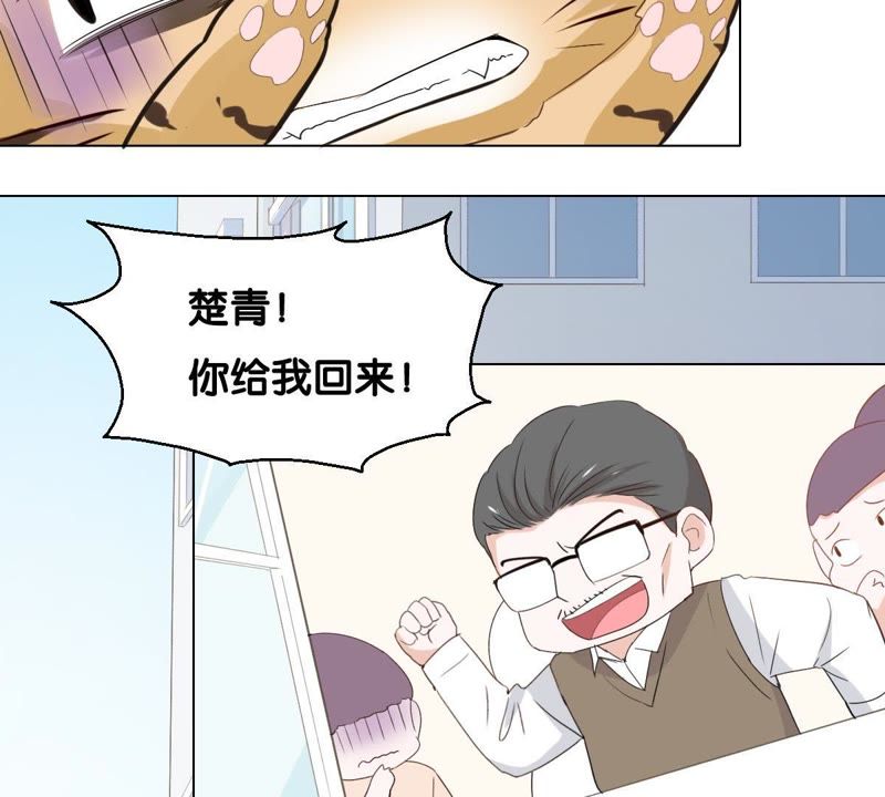第 75 页