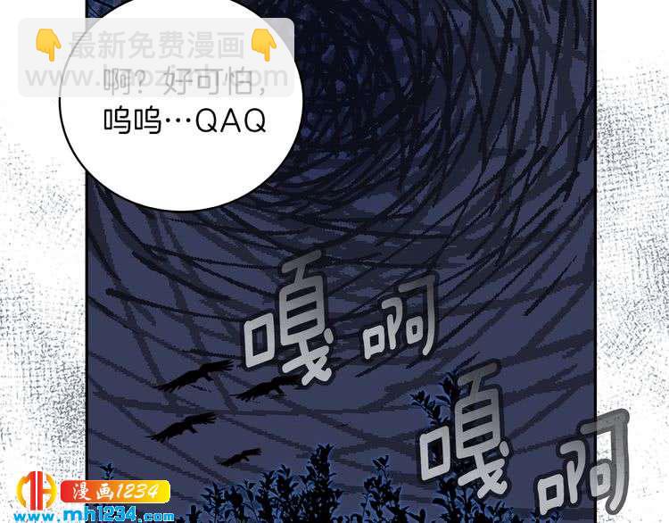 第 56 页