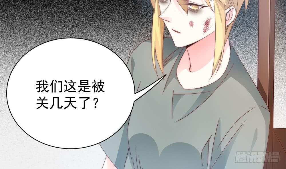第 53 页