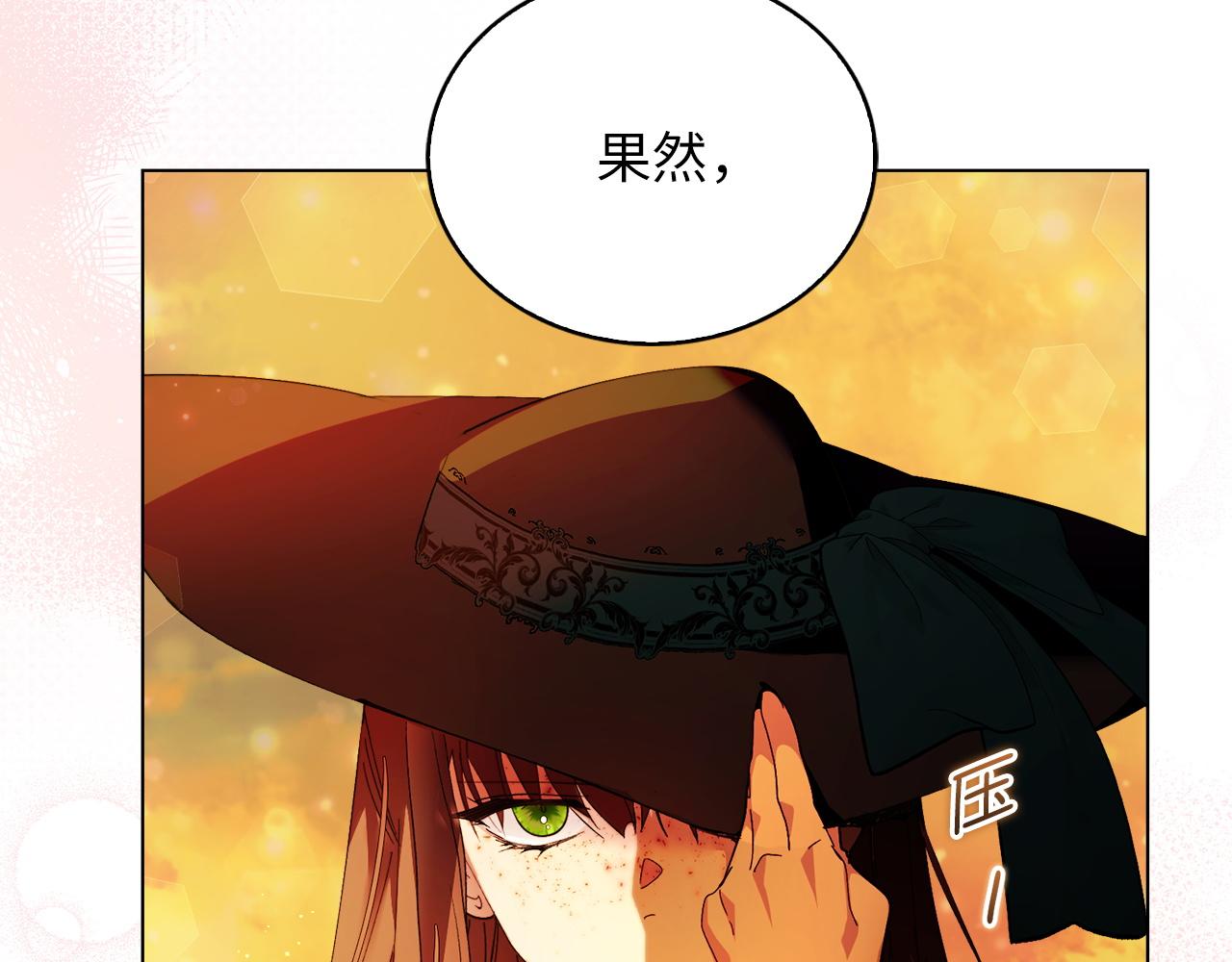 第 113 页