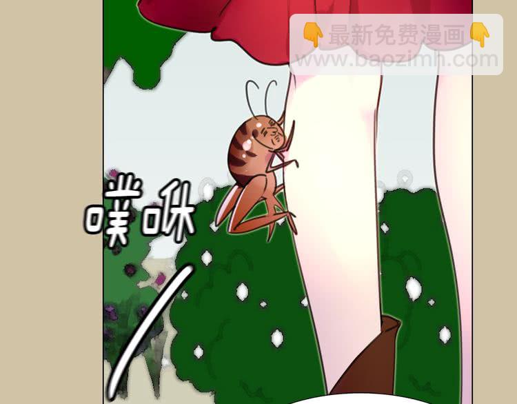 第 75 页
